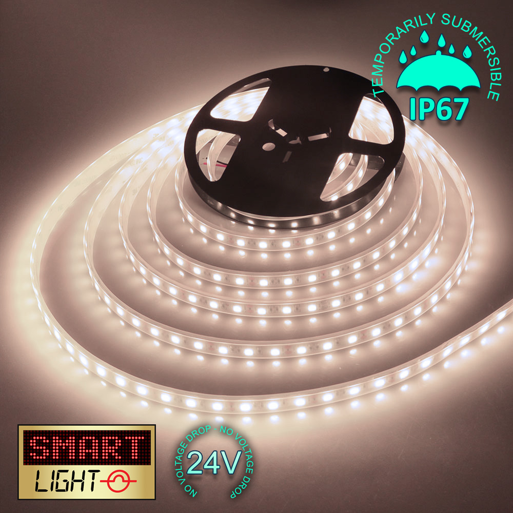 24V WHITE 1M-20M LED Light Strip Tape XMAS Cabinet Kitchen Lighting WATERPROOF - Foto 13 di 28