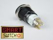 SmartSwitch 19mm 12v DOT LED Black Momentary Illuminated Switch