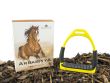 Arrabiyya Horse Stirrups  - 5" - Yellow