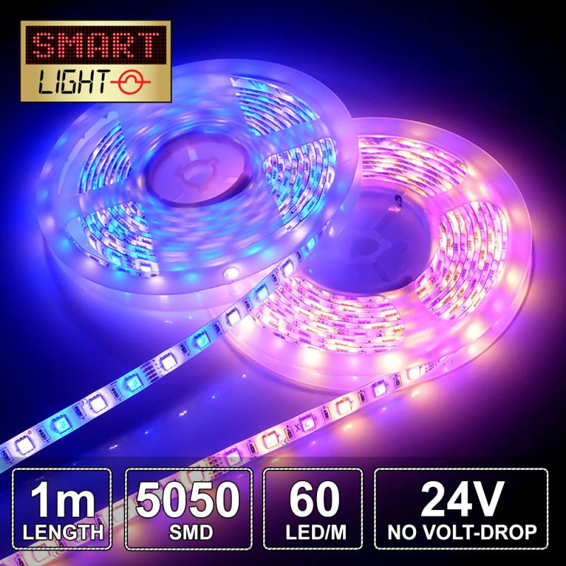 1M RGBW 12v/24V Lights - ALL