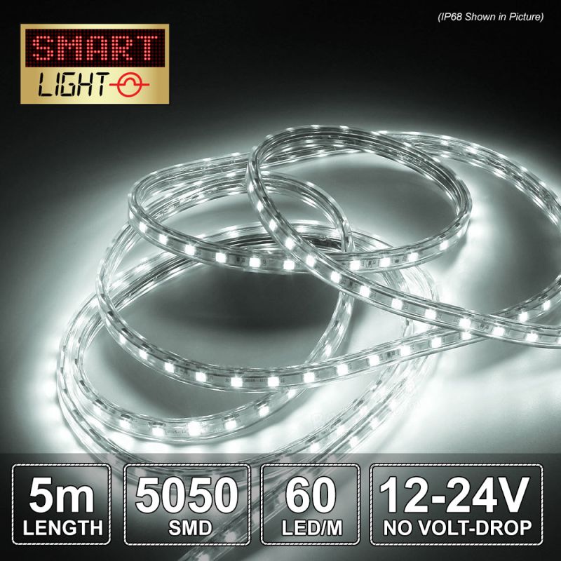 5M WHITE12v/24V Lights - ALL