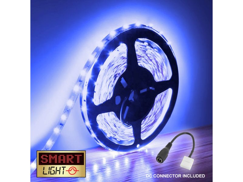 BLUE LED Lights - All
