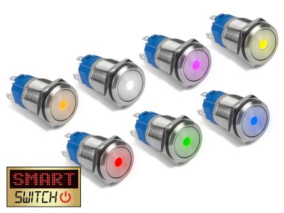 22mm Devil Eye® Dot SPST / 1NO1NC Stainless Steel Push Button LED Switch (for 19mm Hole)