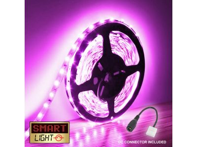PINK LED Lights - All