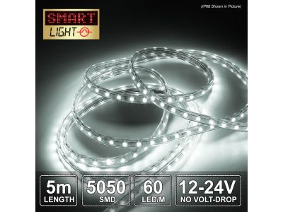 5M WHITE12v/24V Lights - ALL